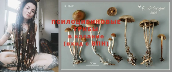 стаф Кодинск