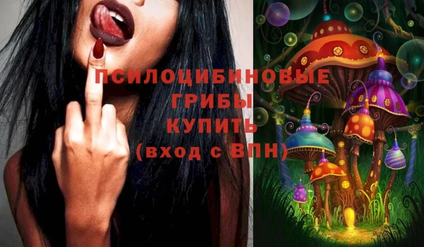 стаф Кодинск