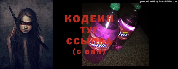 стаф Кодинск
