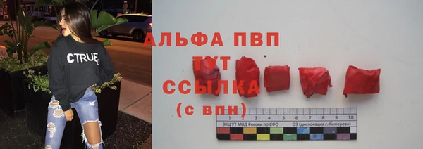 стаф Кодинск