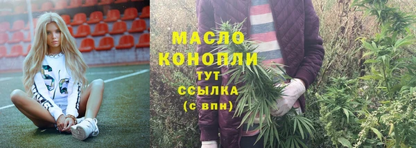 стаф Кодинск