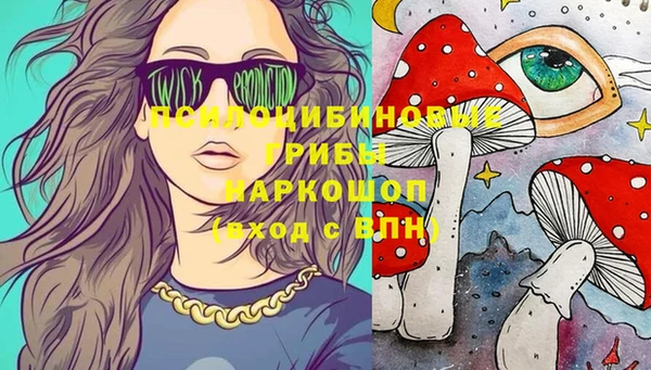 стаф Кодинск