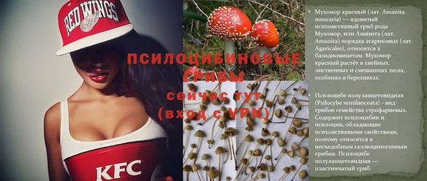 кокс Козельск