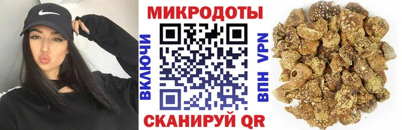Купить где Тосно Псилоцибиновые грибы Cubensis